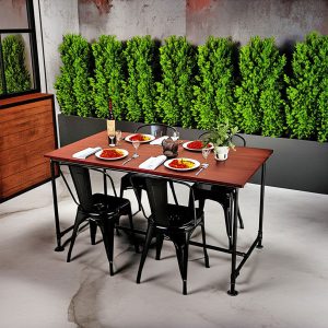 Cây để phòng khách hợp mệnh Mộc – Thu hút sinh khí & tài lộc